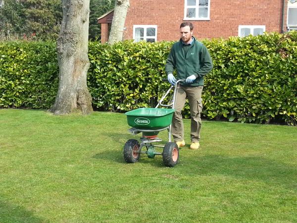 Lawn Treatments